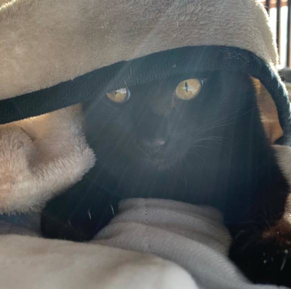 Meet your Posher, Rachel - Picture 1 of 1